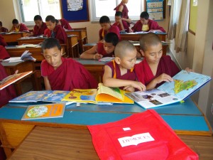 Little monks reading some of the donated books