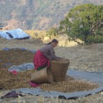 sertung woman