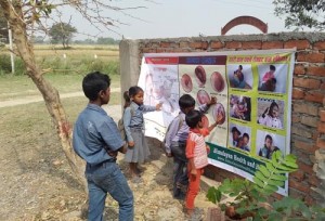 Lumbini education